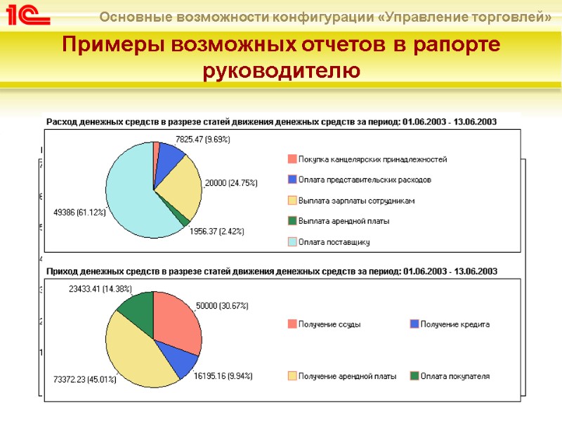 Примеры возможных отчетов в рапорте руководителю